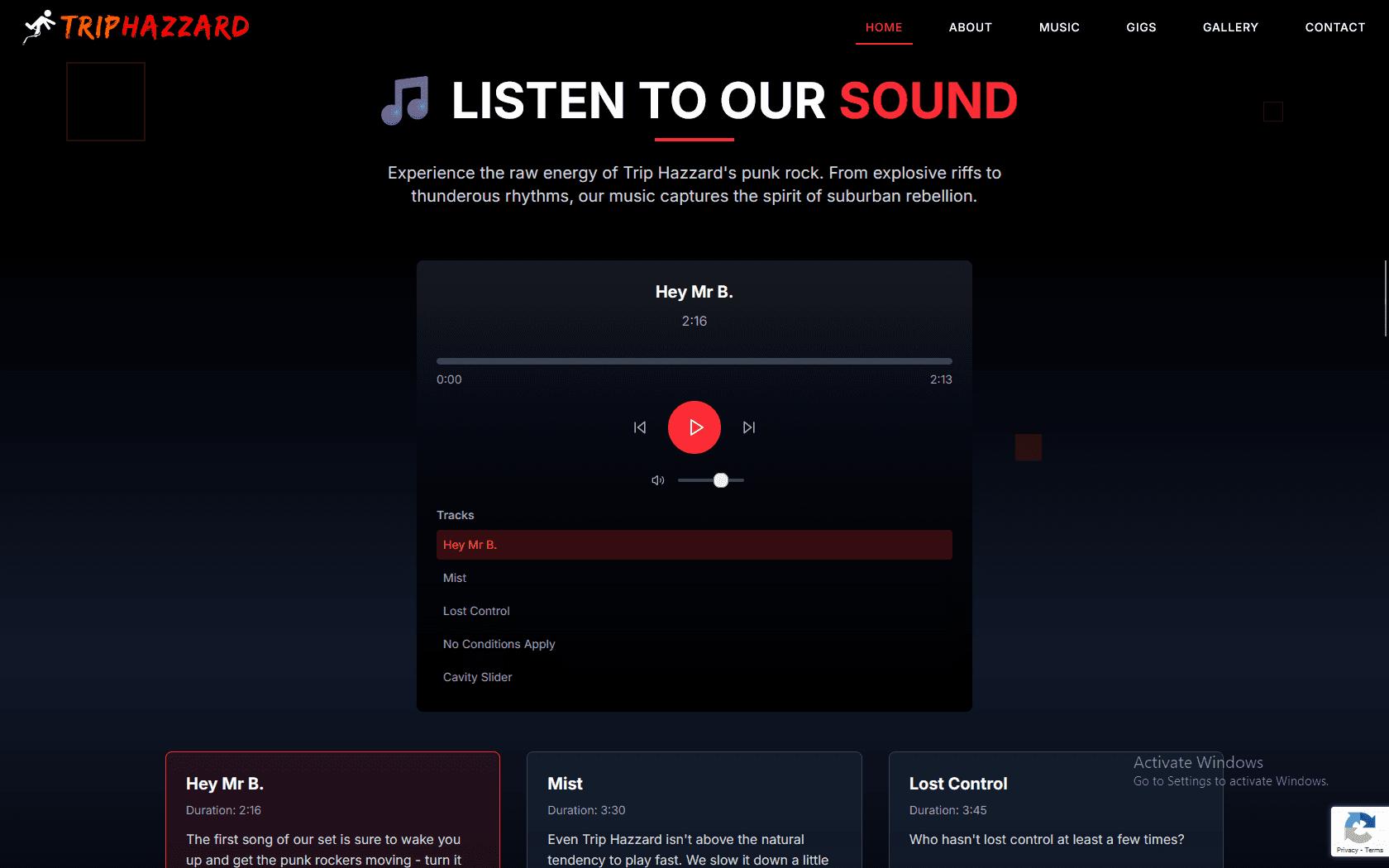 Trip Hazzard Website - Punk Rock Band Portfolio - Project Image 2