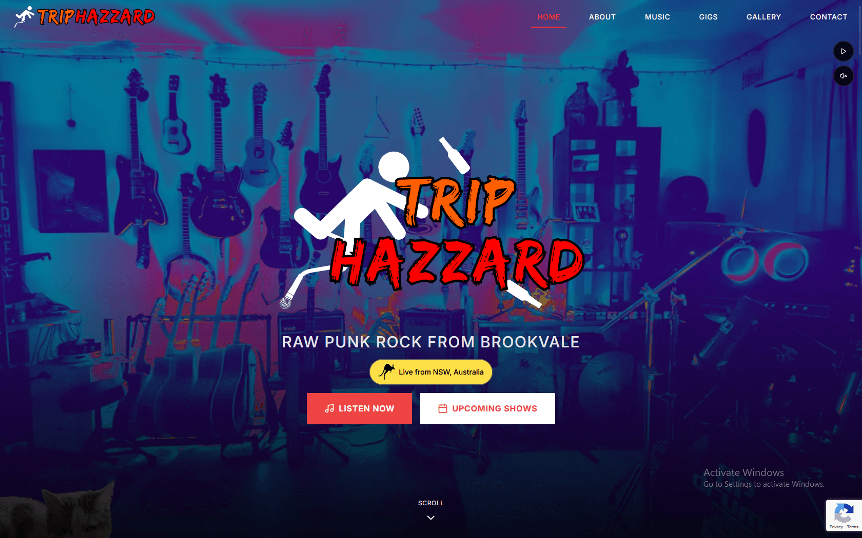 Trip Hazzard Website - Punk Rock Band Portfolio - Portfolio case study showcasing professional work by MeCV Solutions